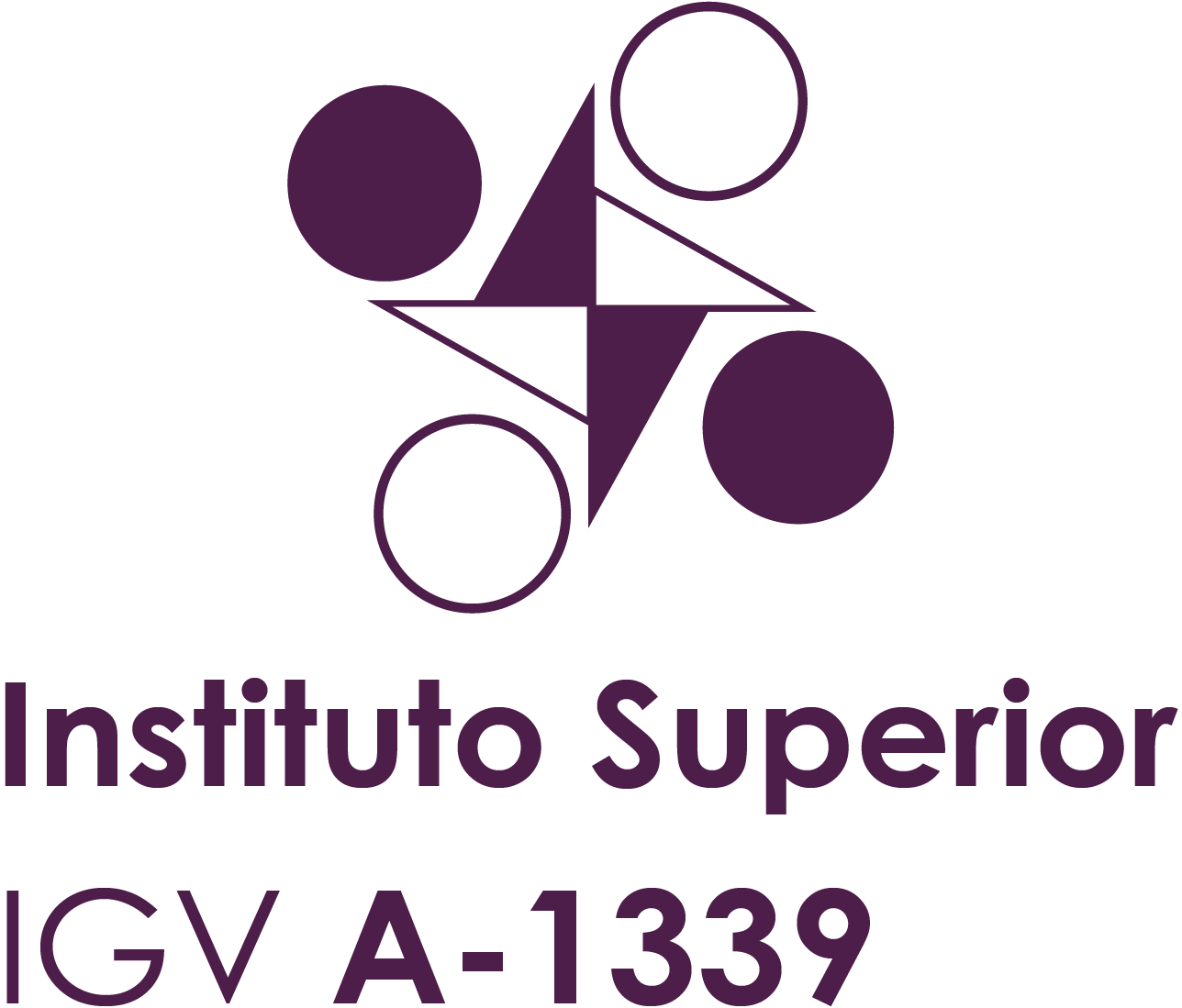 Instituto superior gladys raquel vera